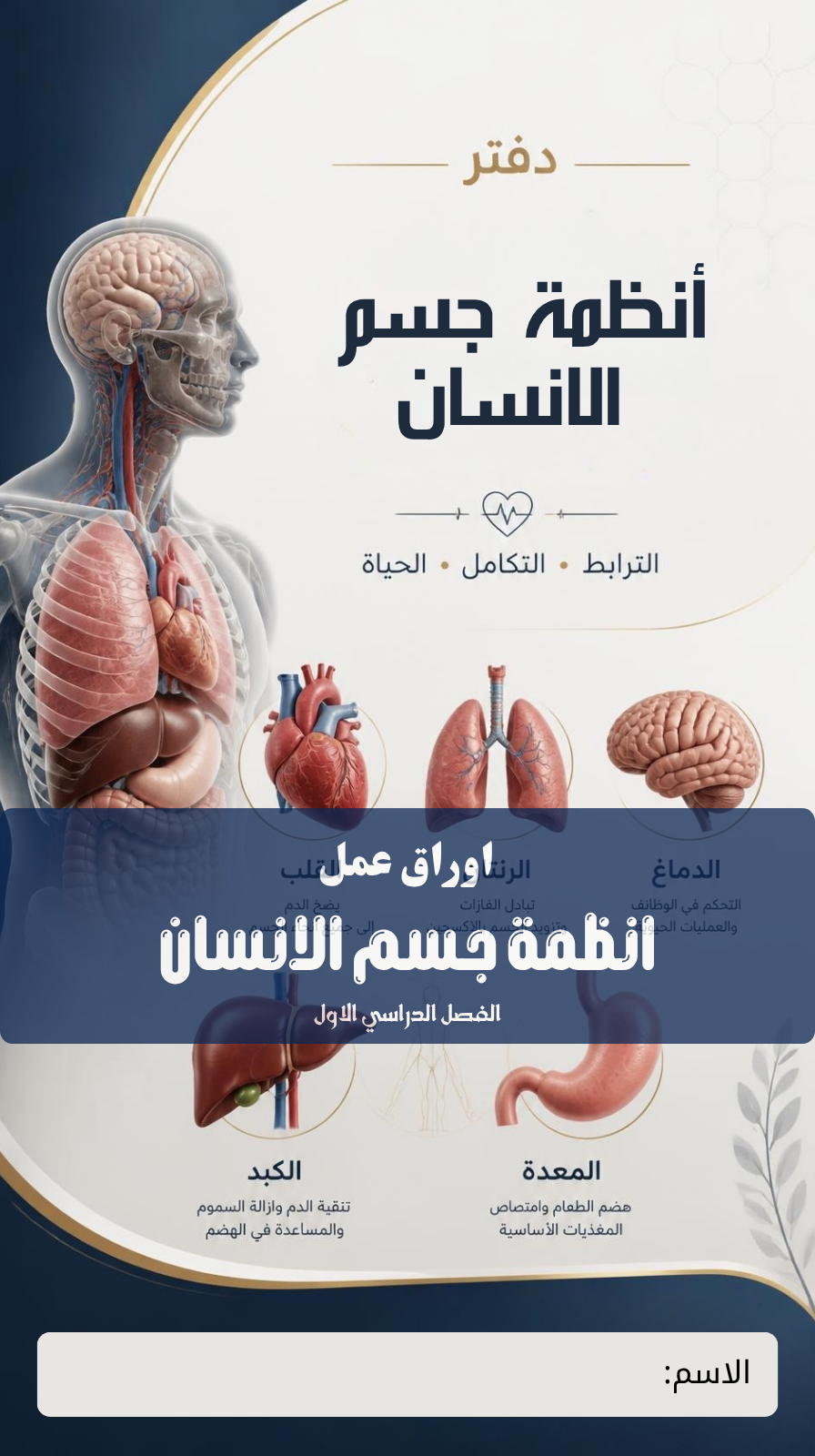 اوراق عمل انظمة جسم الانسان (الفصل الدراسي الاول)