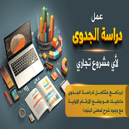 برنامج دراسة الجدوى (Feasibility Study)