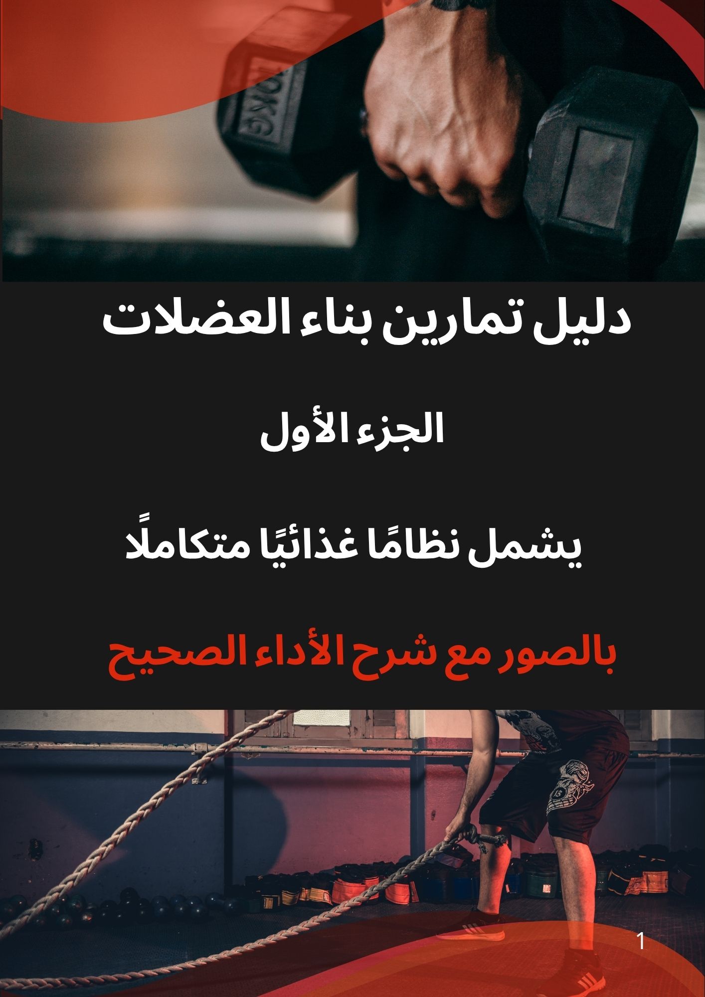 دليل تمارين بناء عضلات الجسم  