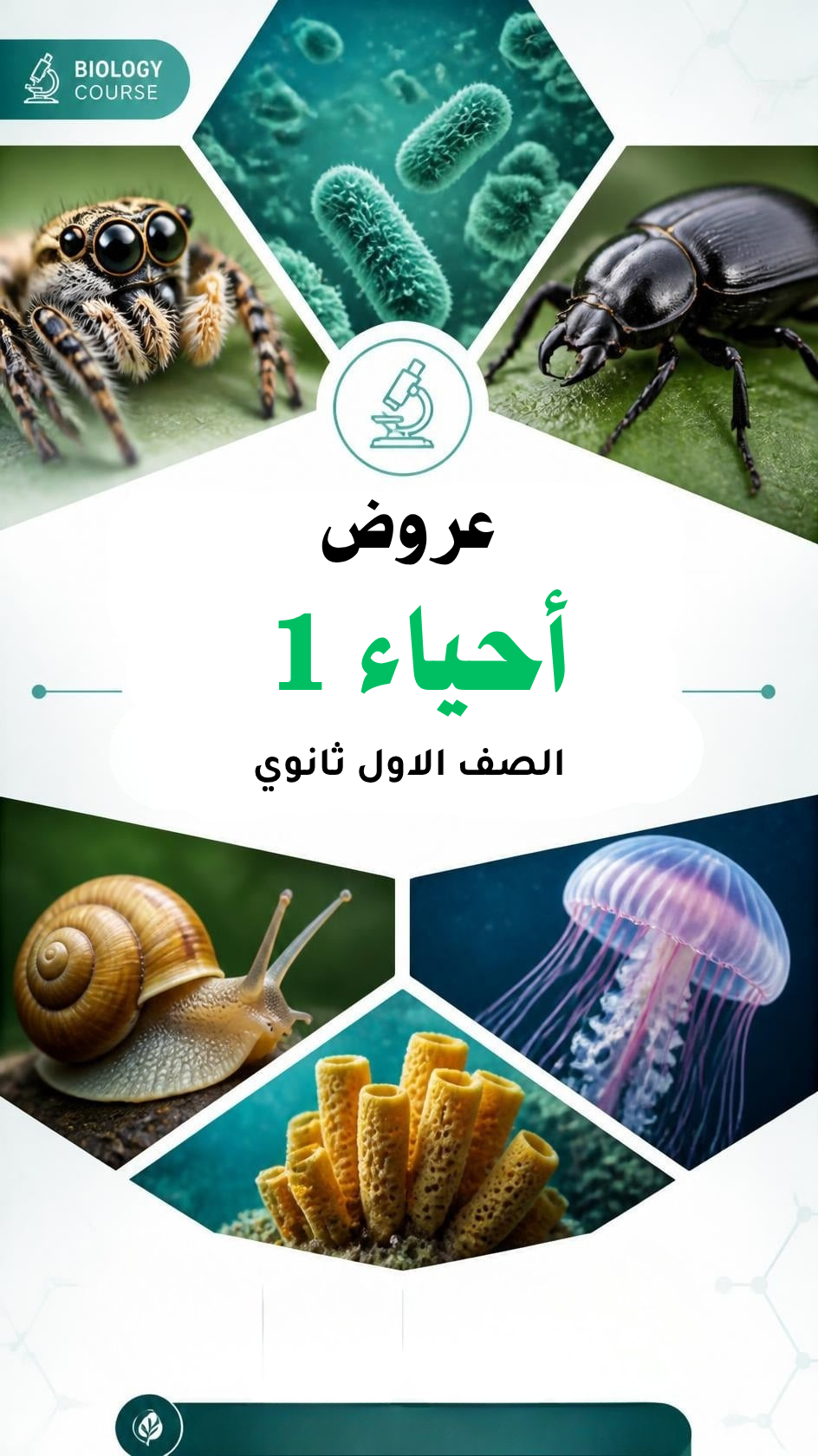 عروض احترافية لمادة (احياء 1) مصممة بـ AI (جميع الفصول)