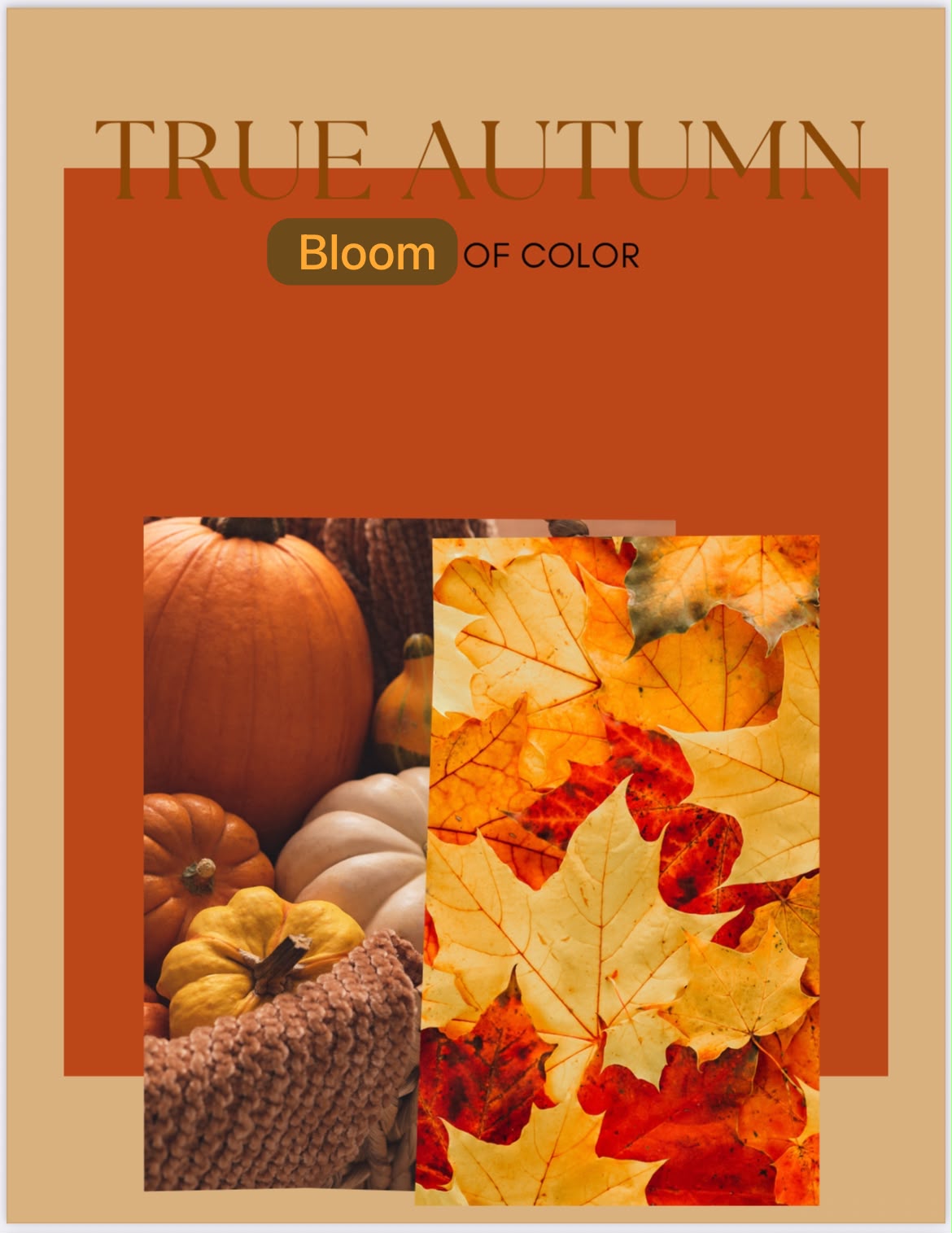  ألوان موسم الخريف الاساسي🍁