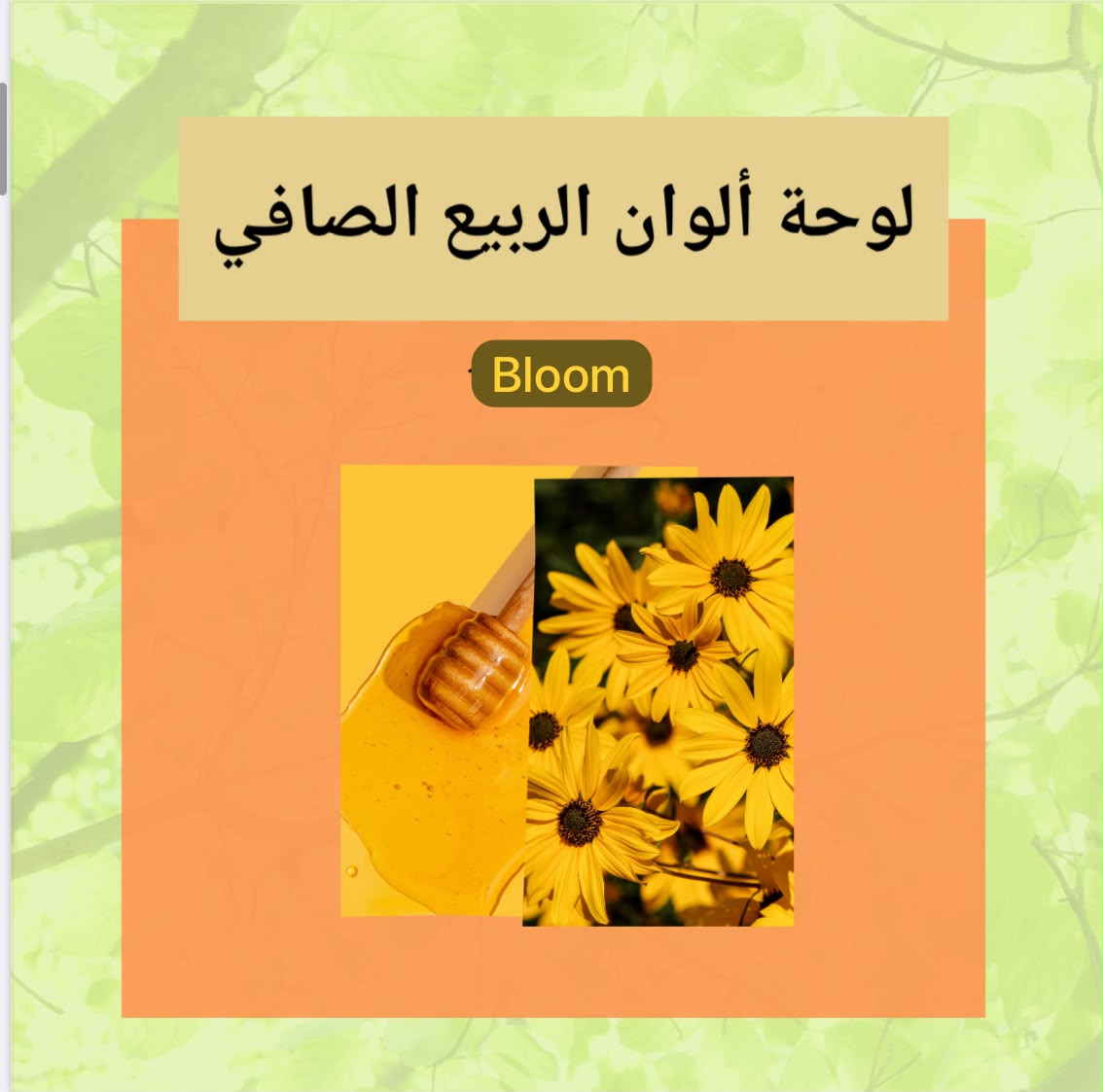 ربيعك المشرق