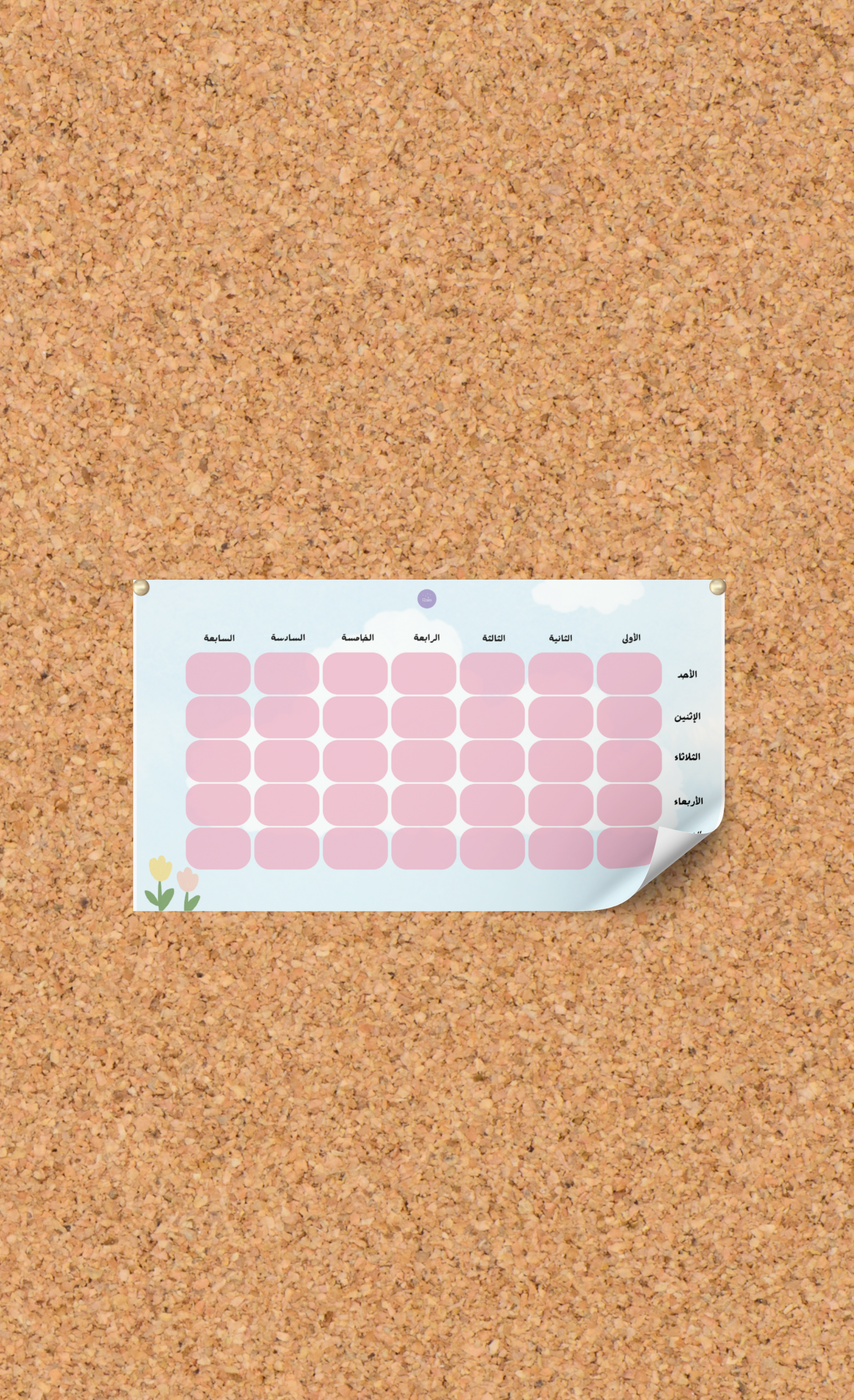 جدول حصص بطابع رسوميات