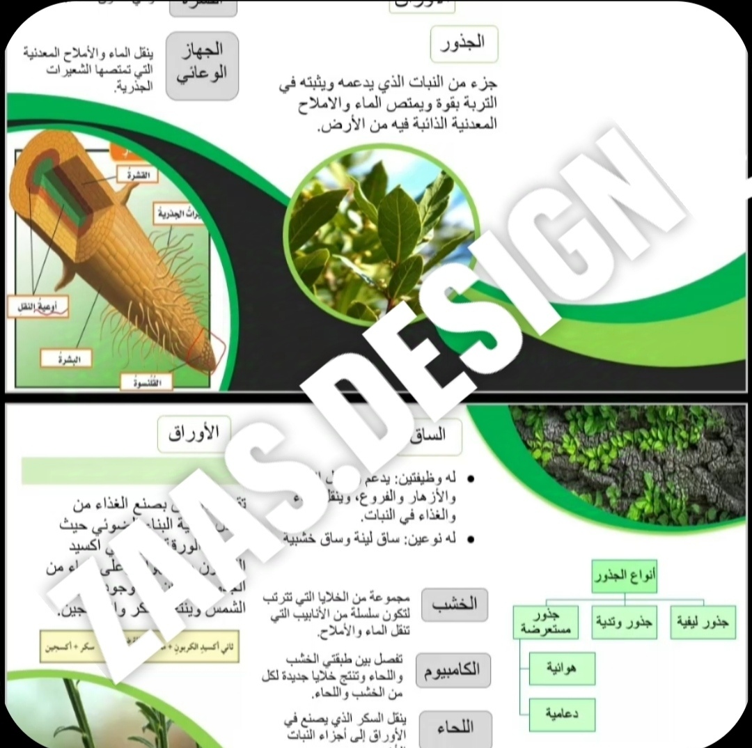 مطوية علوم للصف الخامس