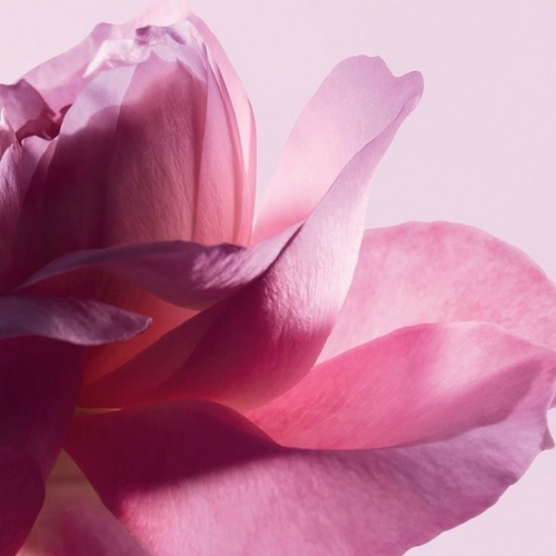 أمسيـة تشـافي الانـوثة