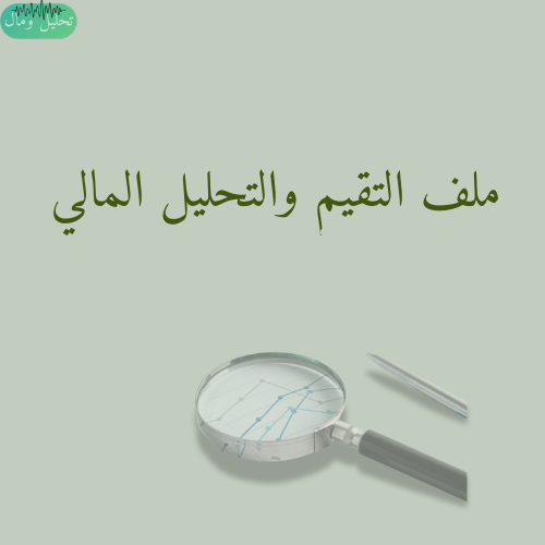 تقيم الوضع المالي