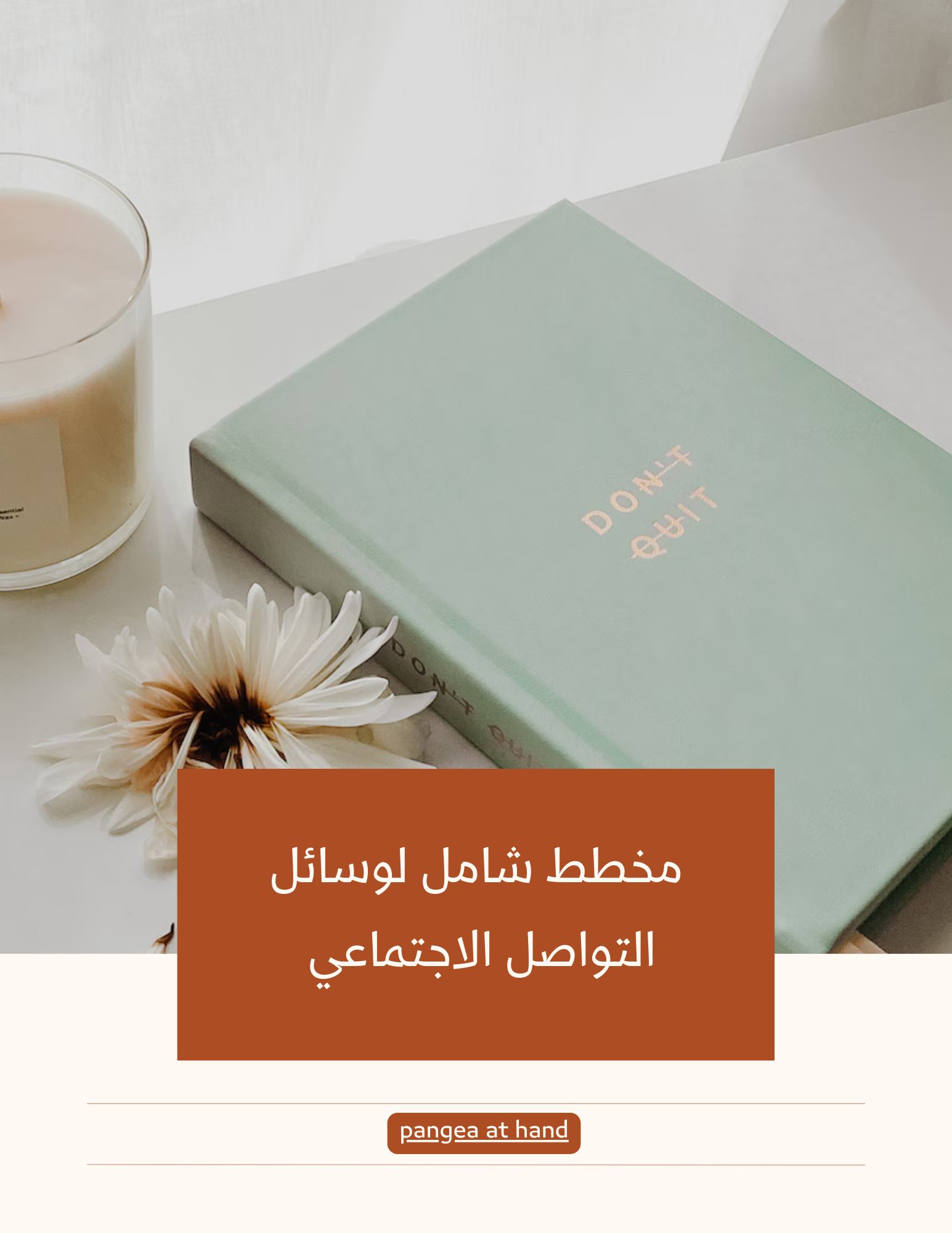 منظم وسائل التواصل الإجتماعي