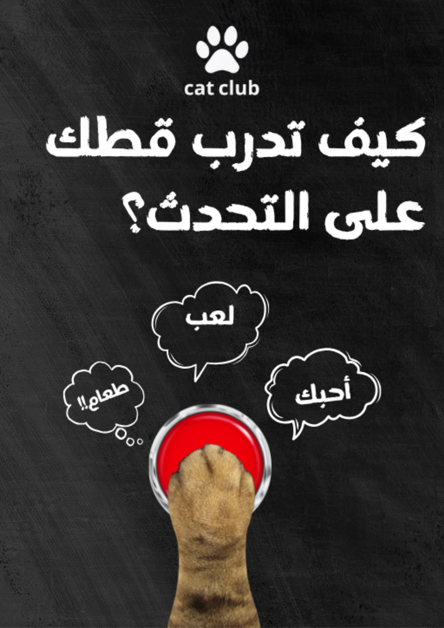 كتاب كيف تدرب قطك على التحدث