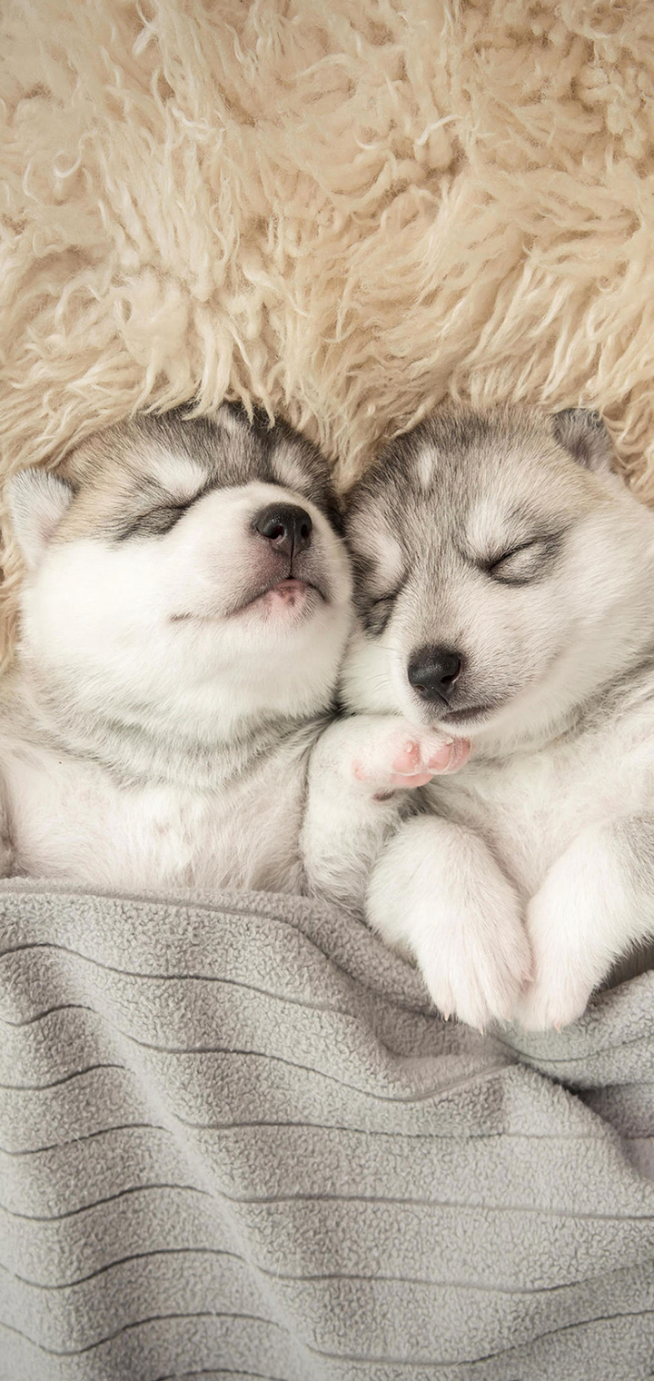 عبدالله المنتجات الرقميه