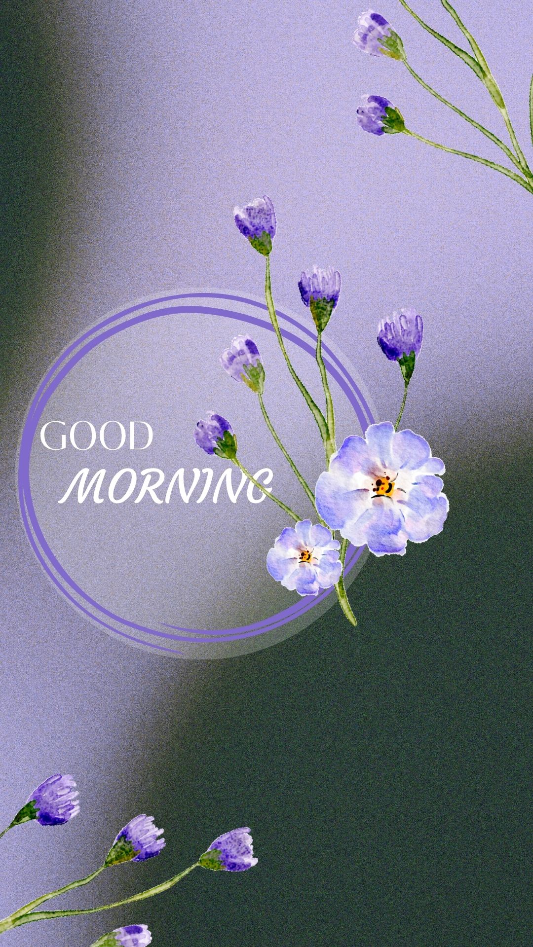 Elegant Floral Morning Greeting – Digital Phone Wallpaper