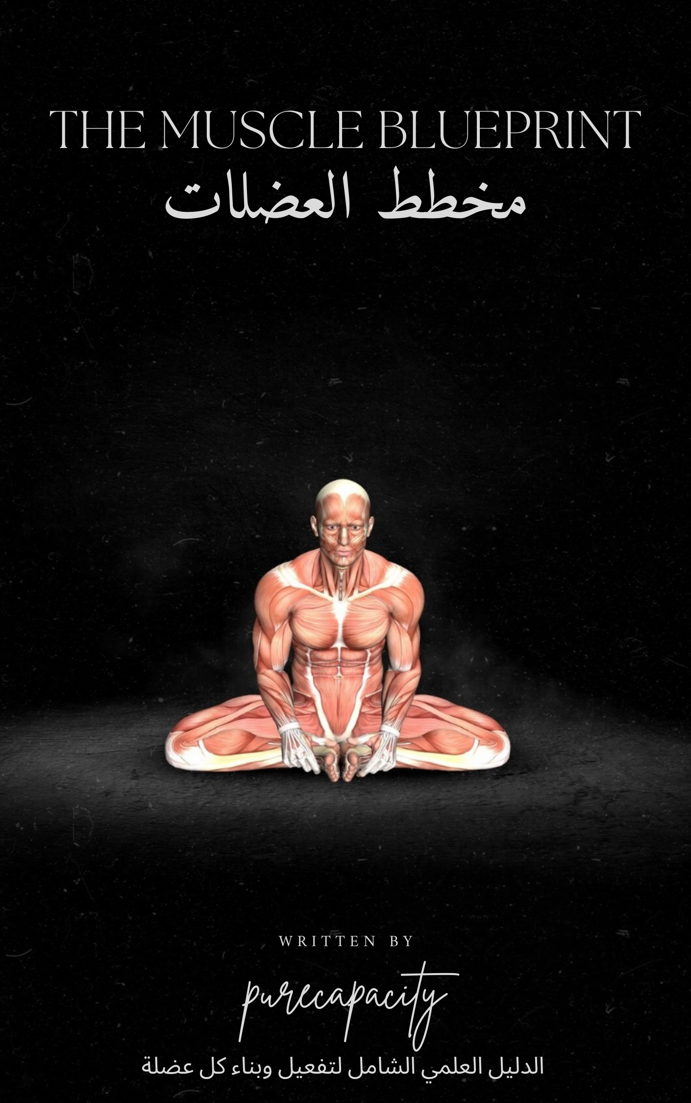 مخطط العضلات  Muscles Blueprint